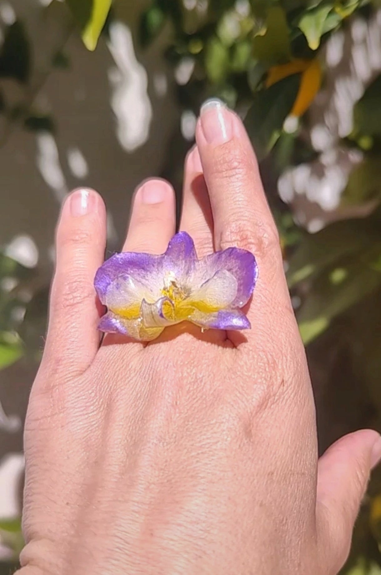 Anillo de orquídea real resinada