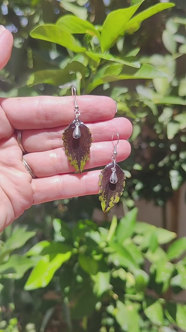 Pendientes originales con hojas auténticas de planta coleo pequeñas. Regalo pendientes con flores reales