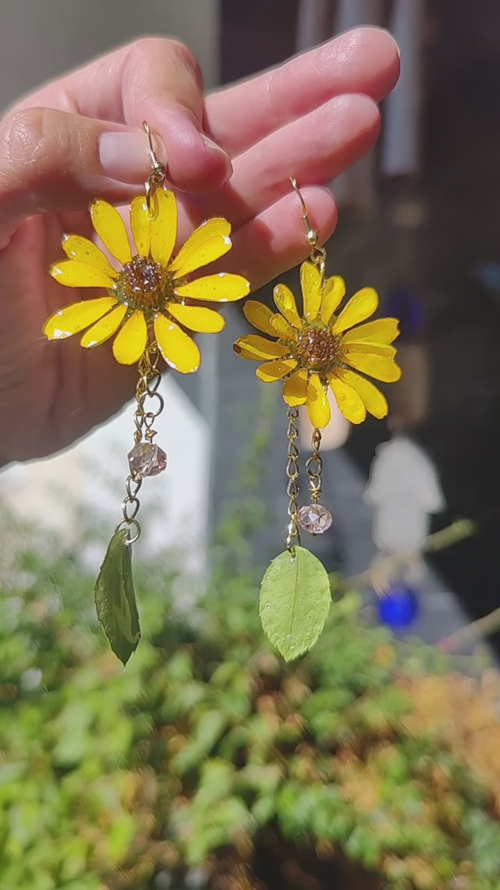 Pendientes de margaritas reales resinadas con hojas naturales y cristal facetado.  Pendientes de flores de acero inoxidable hechos a mano