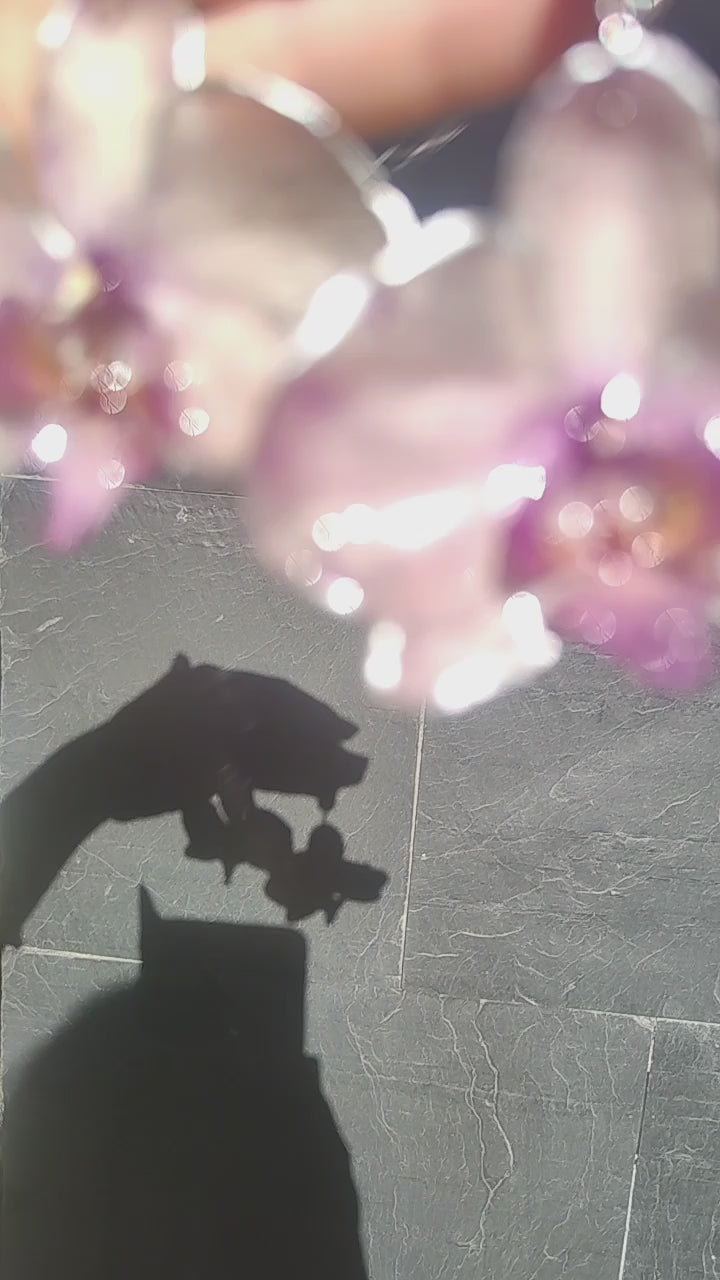 Pendientes de orquídeas auténticas • En acero inoxidable. Joyería floral hecha a mano • Aros con diseño botánico con cristal camaleón• Pendientes naturales • Regalo floral excepcional • Joyería cottagecore