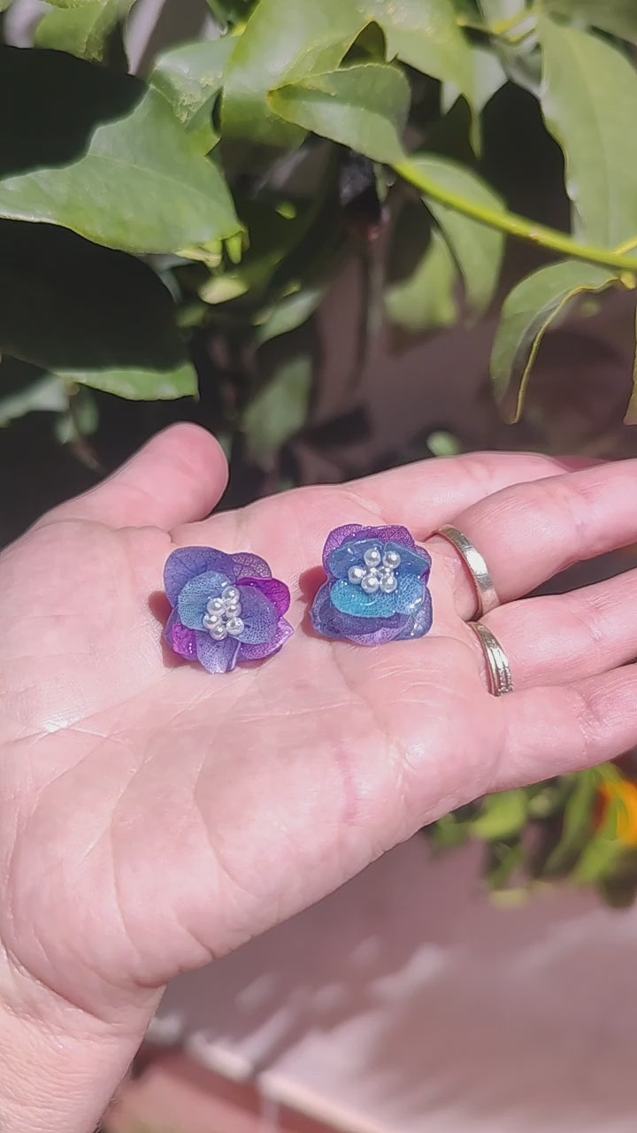 Pendientes de hortensia bicolor real resinada