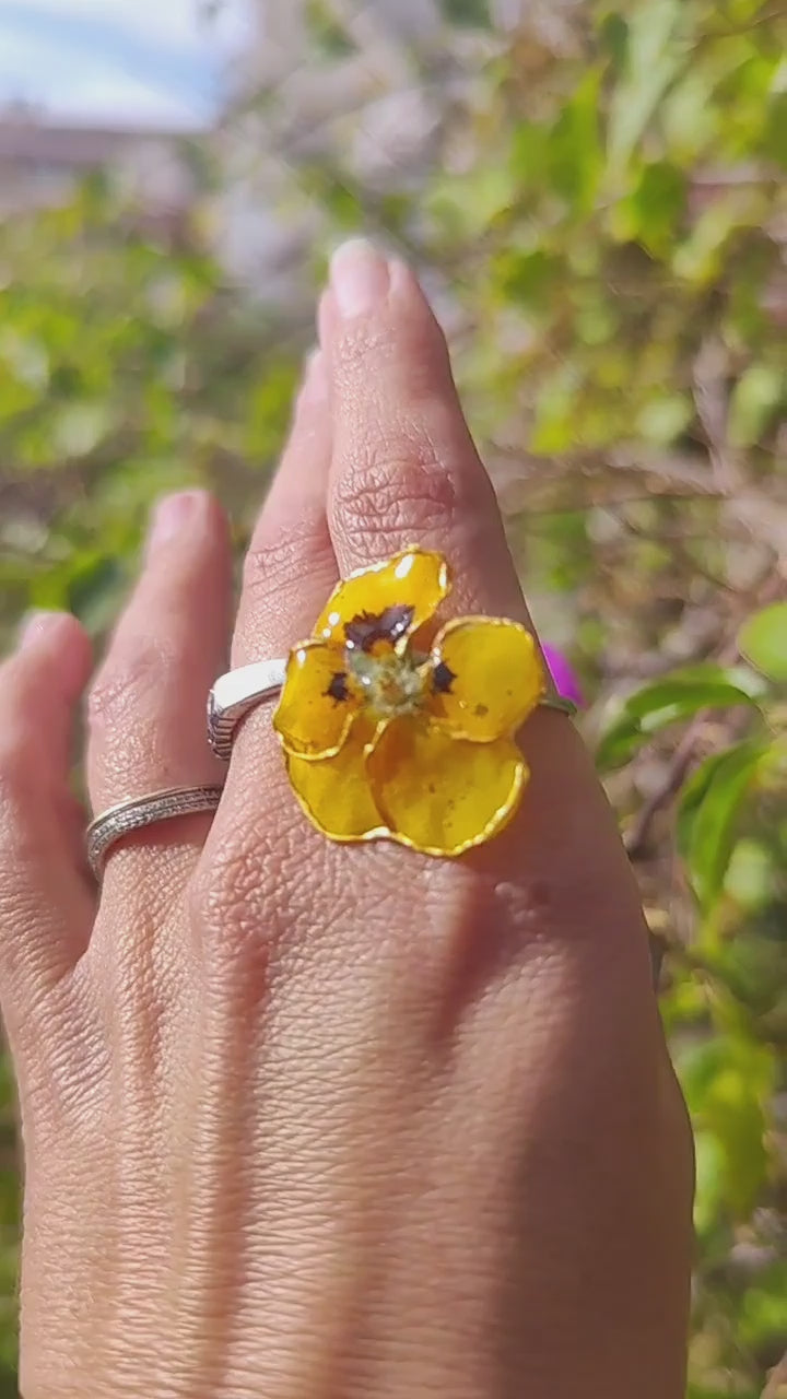 Anillo de pensamiento real resinado