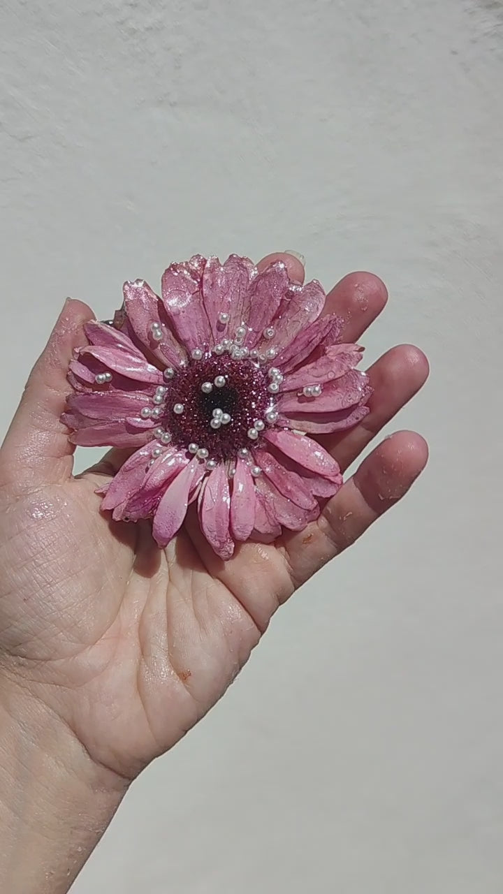 Clip de pelo de gerbera