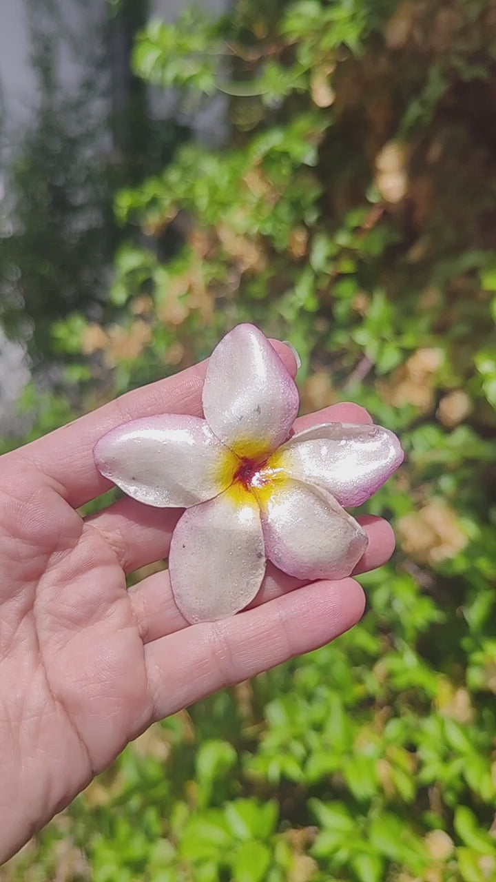 Clip de pelo de flor de mayo o plumeria en resina