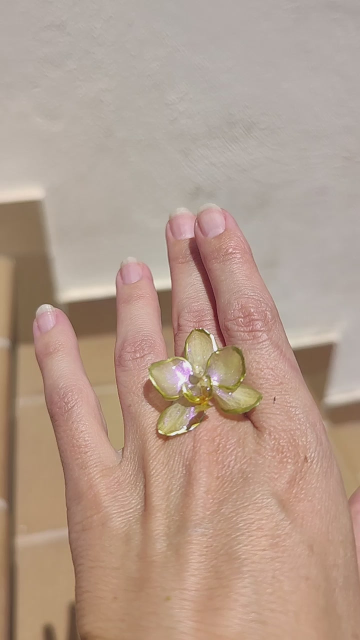 Anillo de orquídea real resinada