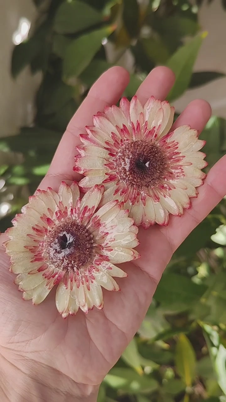 Real Gerbera Flower Earrings. Handmade Resin Jewelry, Yellow & Blush Pink Pressed Flowers, Botanical Floral Earrings Gift