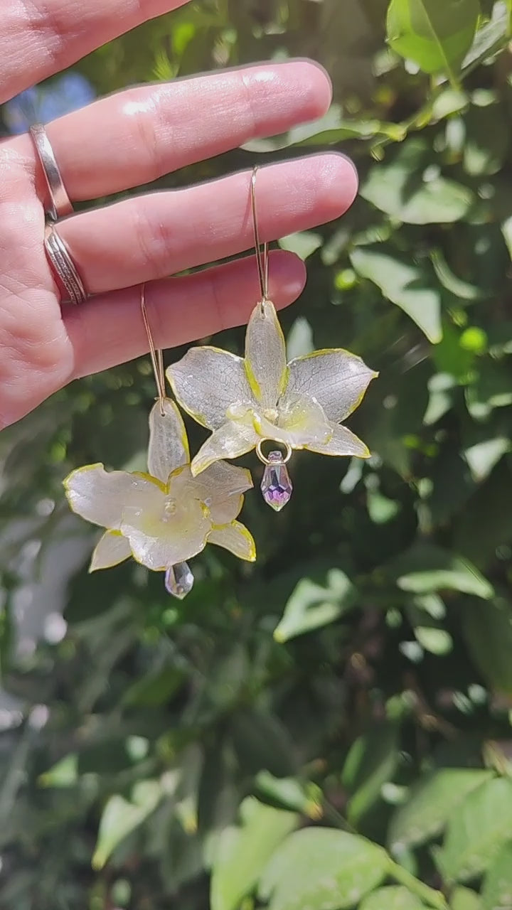 Pendientes de orquídea dendrobium blanca hechos a mano, en acero inoxidable · Flores naturales con bordes dorados · Lágrimas de cristal facetado