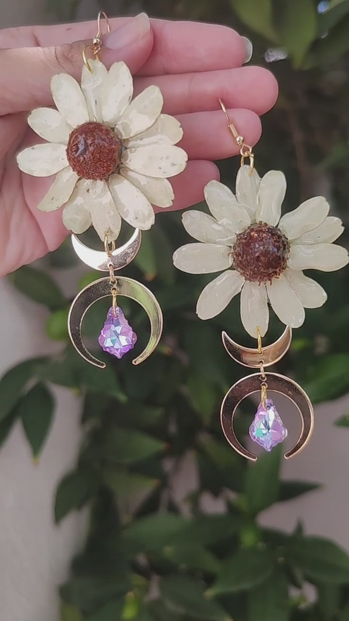 Pendientes con margaritas reales resinadas blancas y luna dorada. Joyas naturales hechas a mano. Pendientes únicos de resina y acero inoxidable