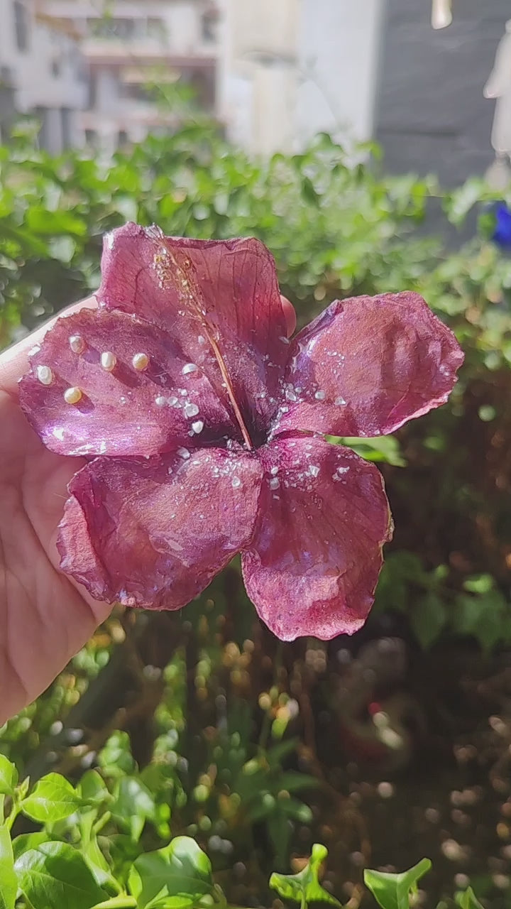 Pasador de Pelo con Flor Real, Hibisco Rojo y Perlas Naturales, Clip Artesanal de Resina, Accesorio Floral para el Cabello, Regalo Mujer