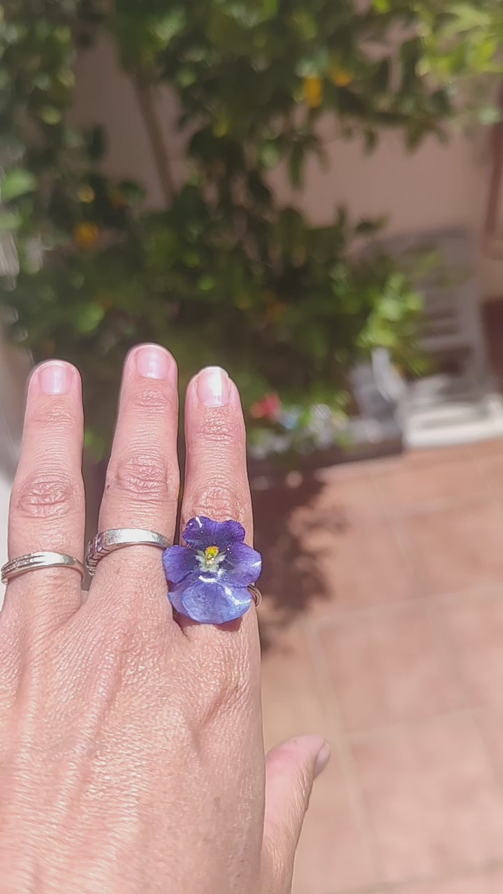Anillo de pensamiento real resinado