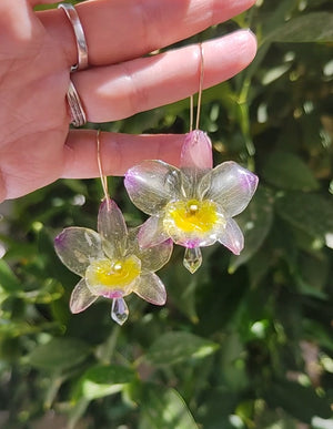 Pendientes orquídea dendrobium semitransparente lila y amarilla. Flores naturales. Pendientes orquídea real