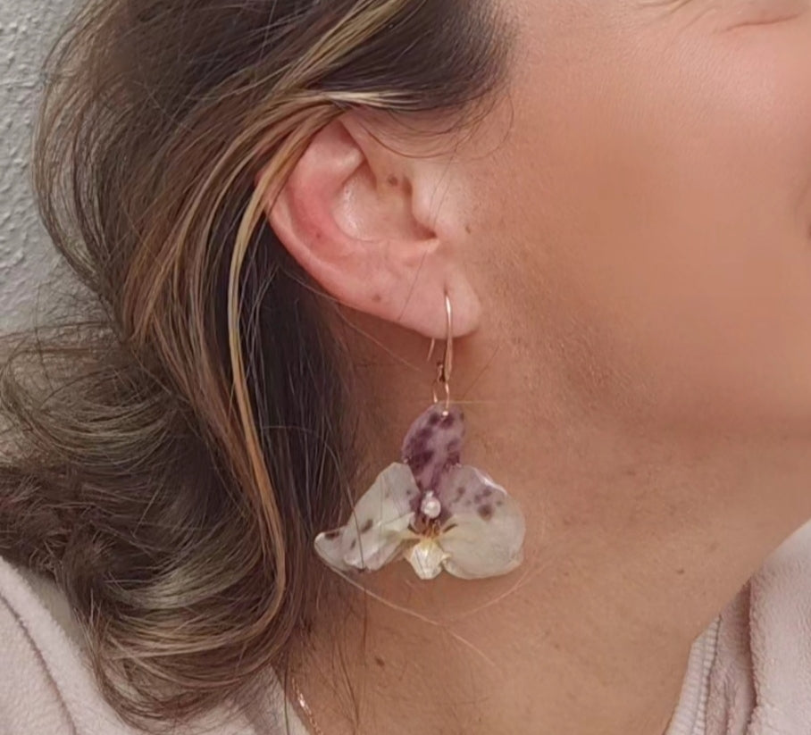 Pendientes de orquídeas reales