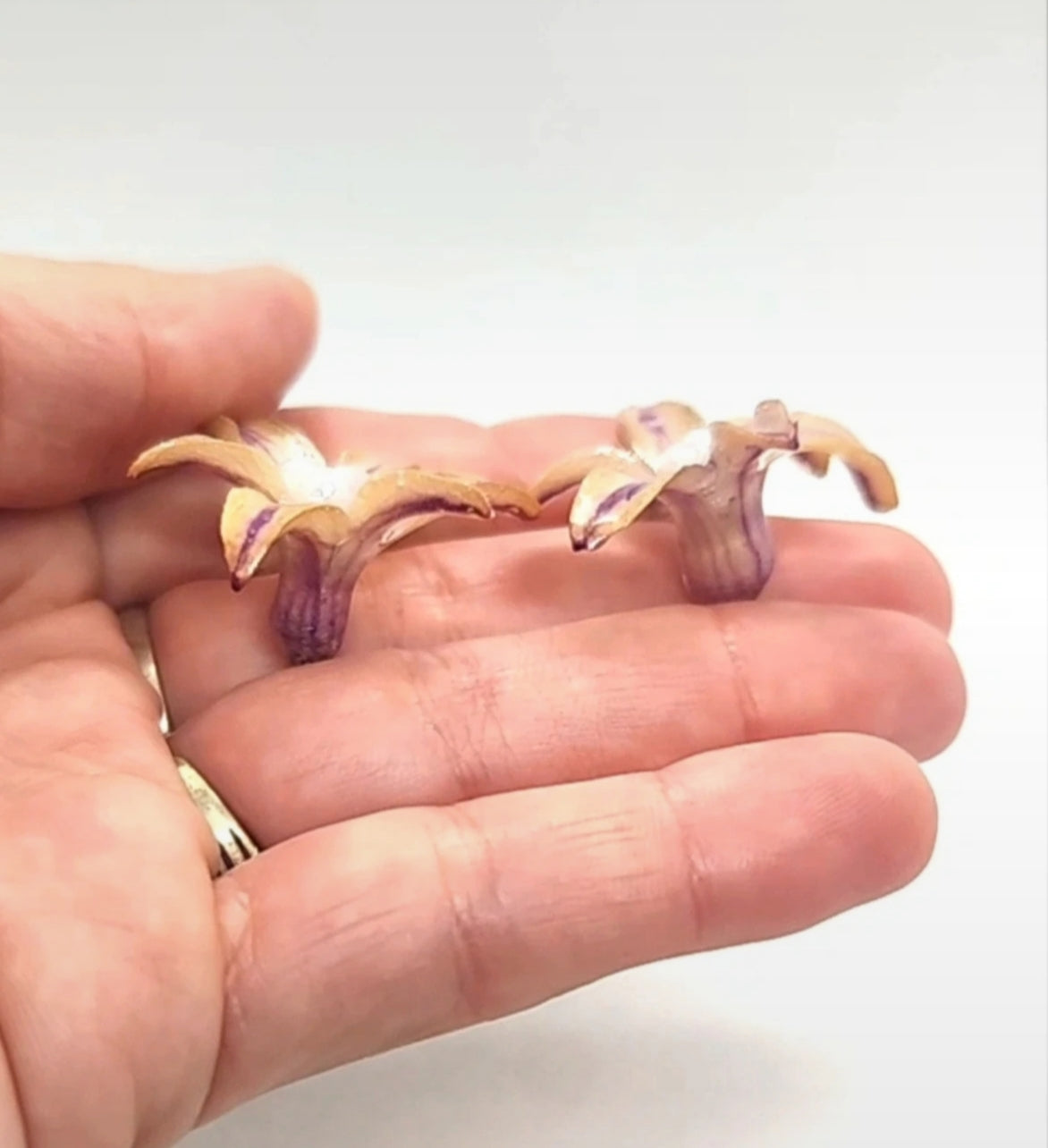 Pendientes de Jacinto real resinado