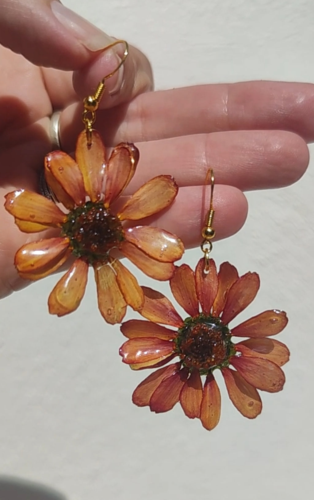 Pendientes de margaritas naranjas naturales en resina. Joyas florales artesanales. Acero inoxidable hipoalergénico