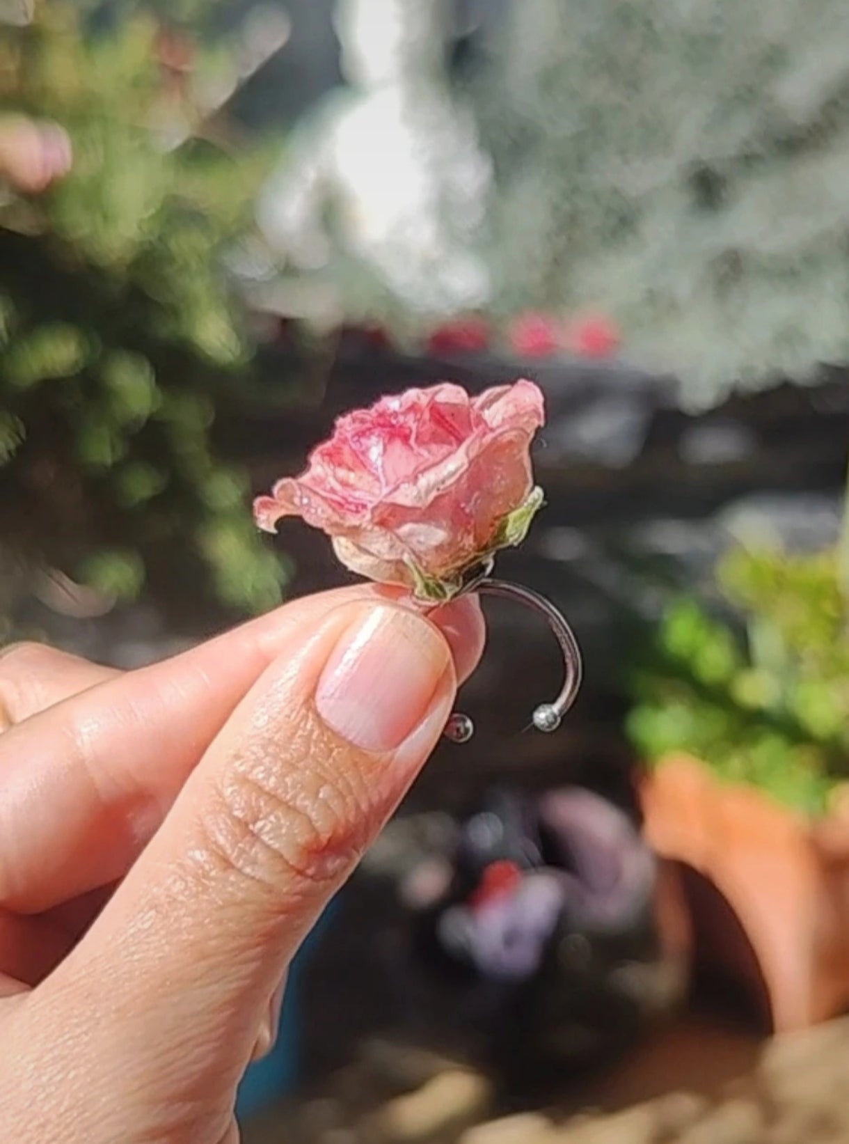 Anillo de rosa real resinada