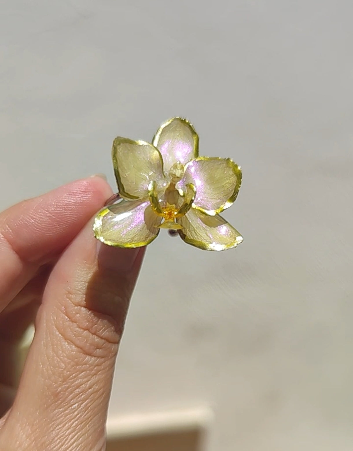 Anillo de orquídea real resinada