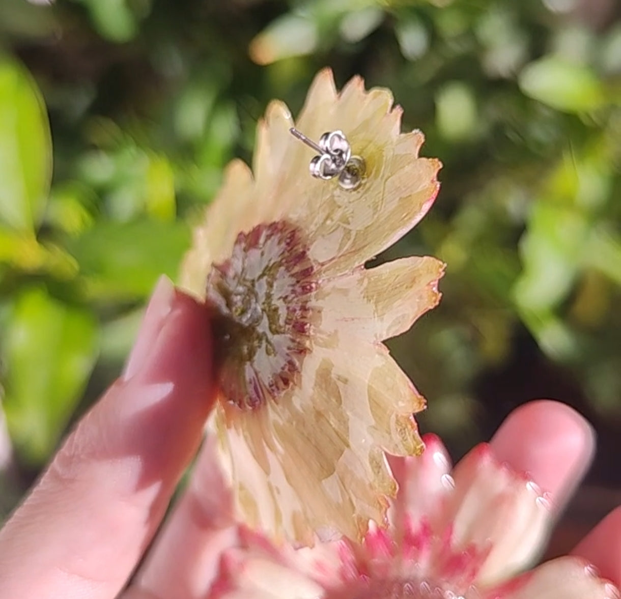 Real Gerbera Flower Earrings. Handmade Resin Jewelry, Yellow & Blush Pink Pressed Flowers, Botanical Floral Earrings Gift