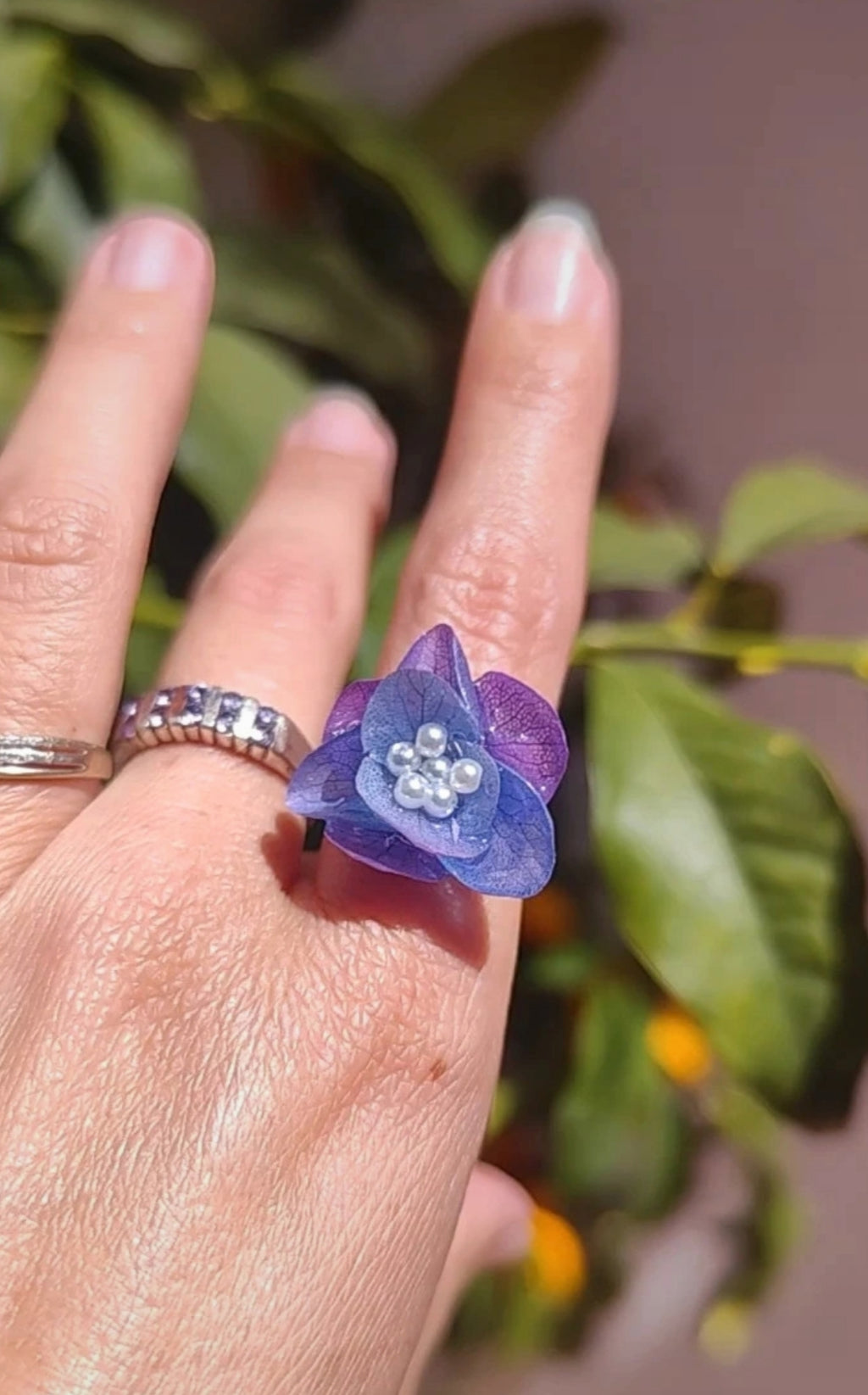 Anillo de hortensia bicolor real resinada