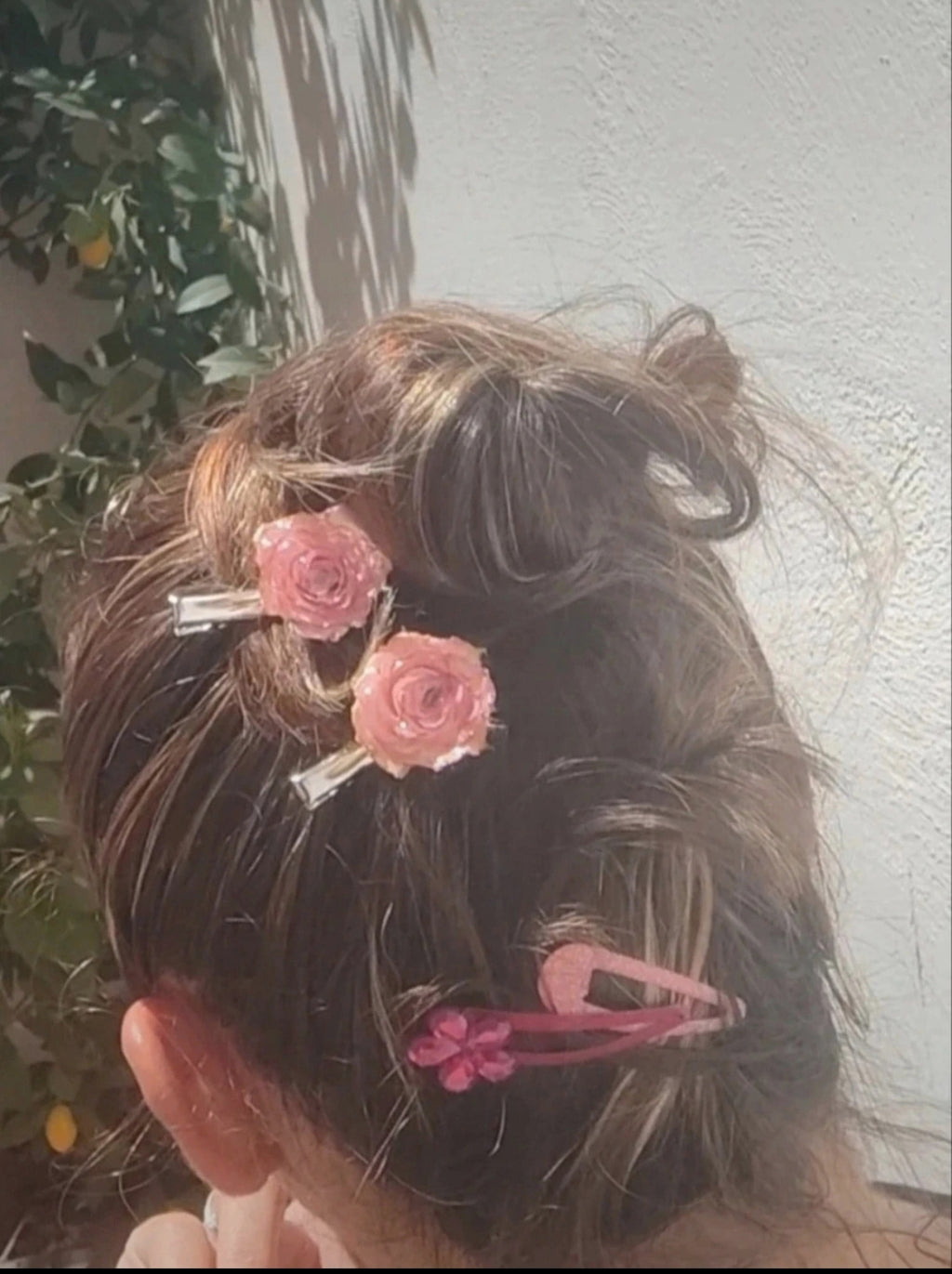 Horquillas de rosas reales resinadas