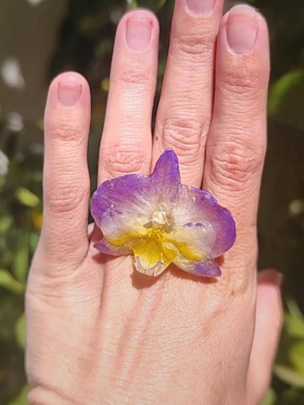 Anillo de orquídea real resinada