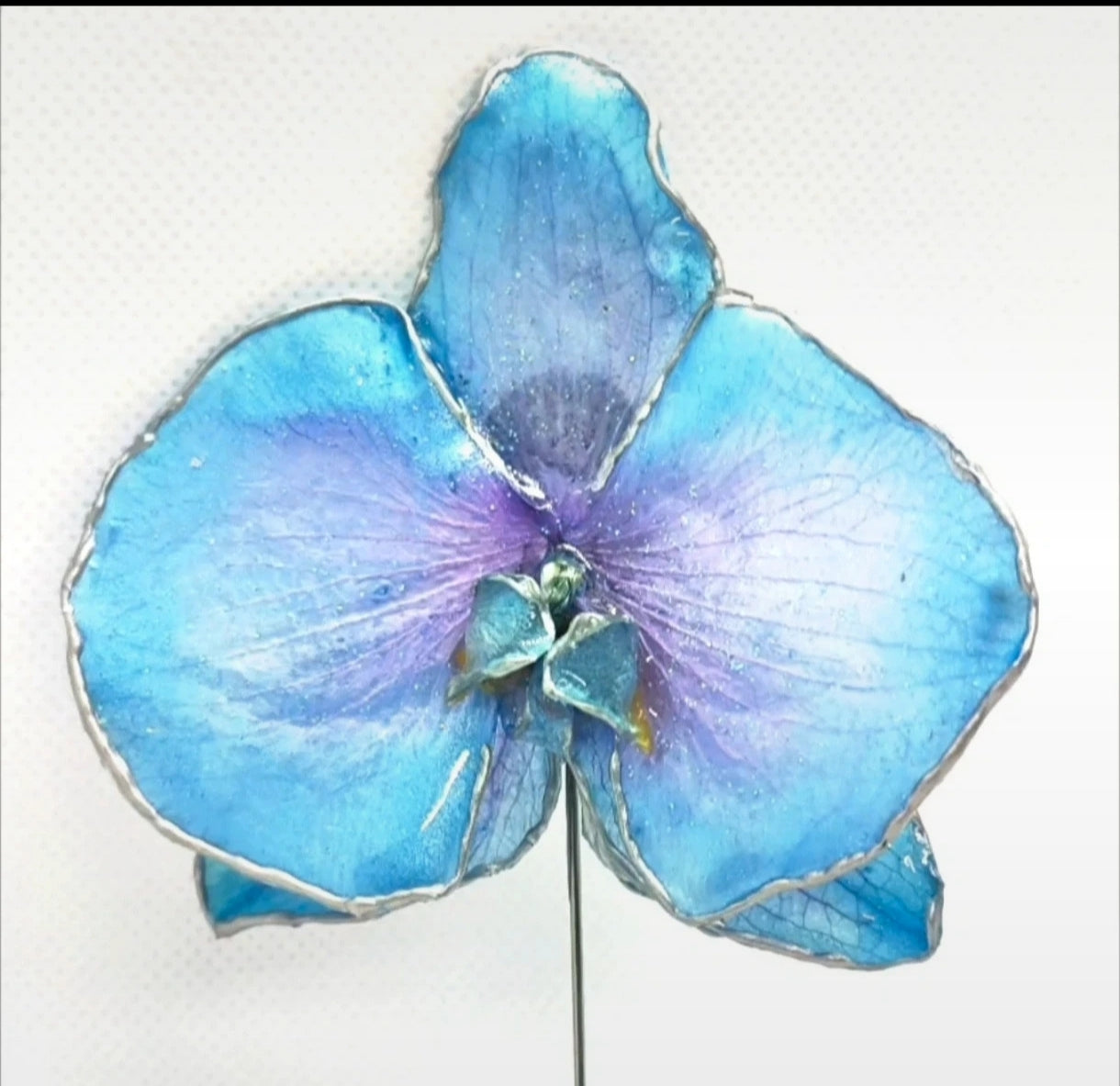 Alfiler de orquídea real resinada
