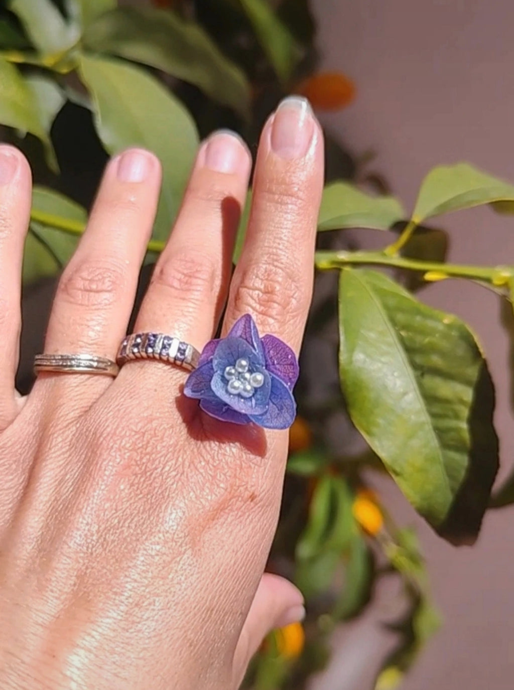 Anillo de hortensia bicolor real resinada