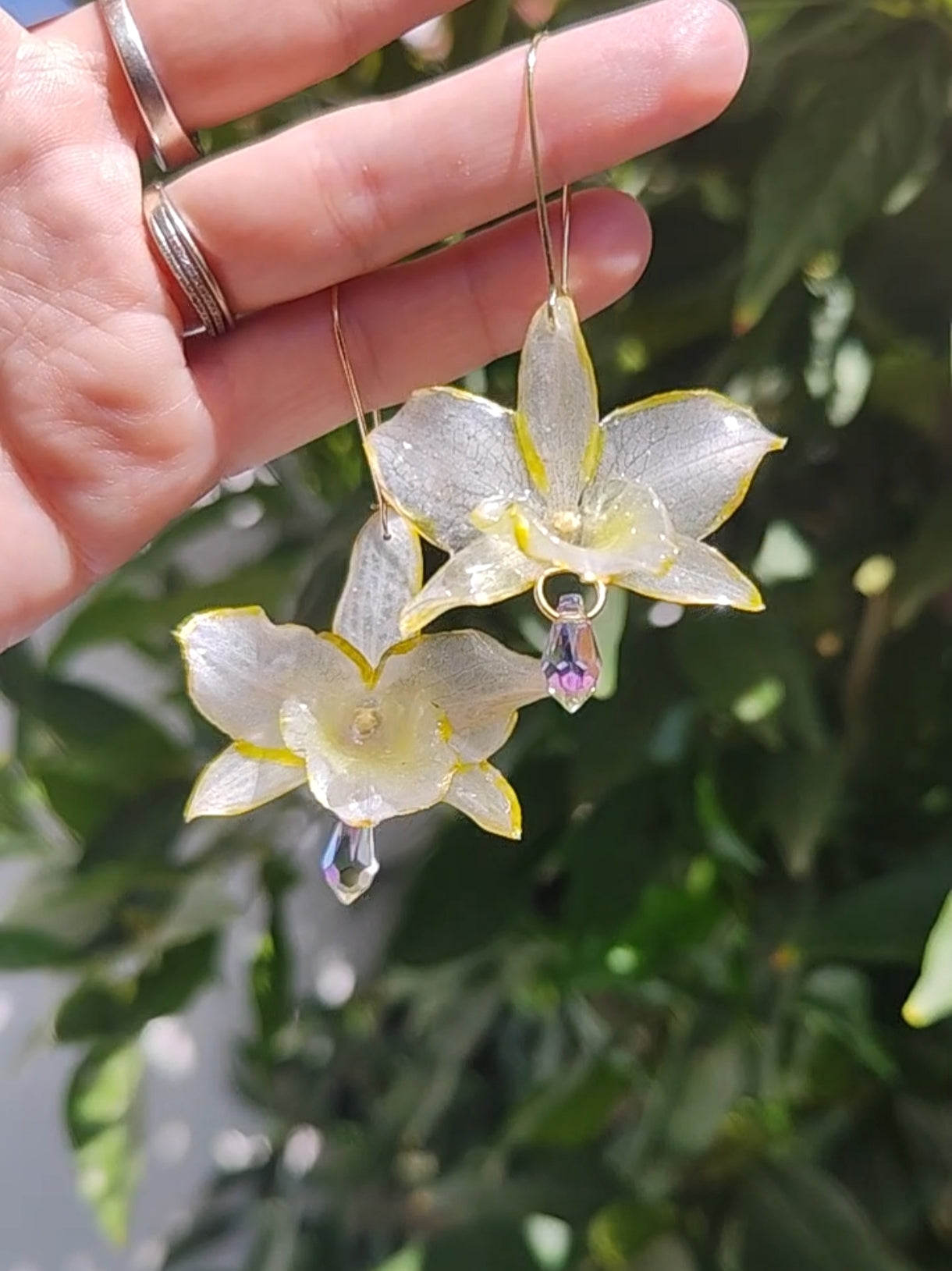 Pendientes de orquídea dendrobium blanca hechos a mano, en acero inoxidable · Flores naturales con bordes dorados · Lágrimas de cristal facetado