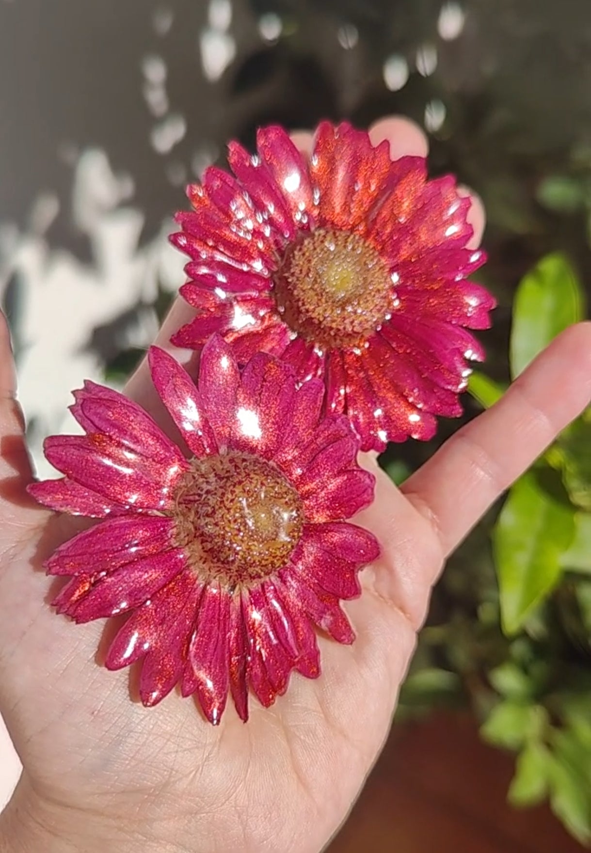 Real red Gerbera Flower Earrings. Handmade Resin Jewelry, Pressed Flowers, Botanical Floral Earrings Gift