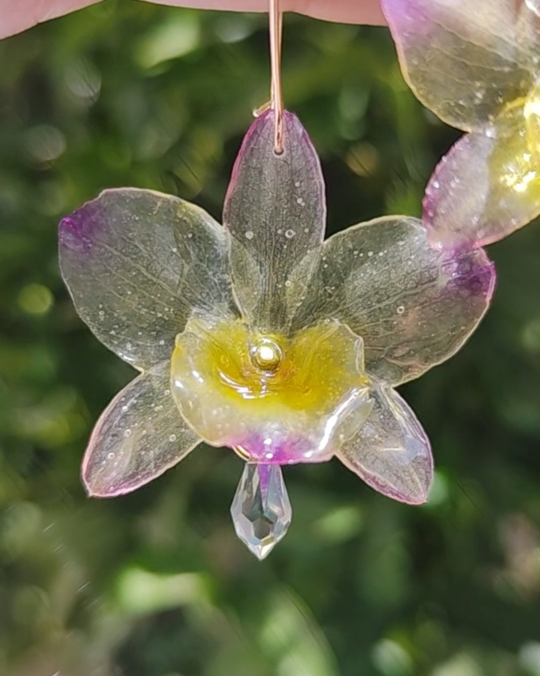 Pendientes orquídea dendrobium semitransparente lila y amarilla. Flores naturales. Pendientes orquídea real