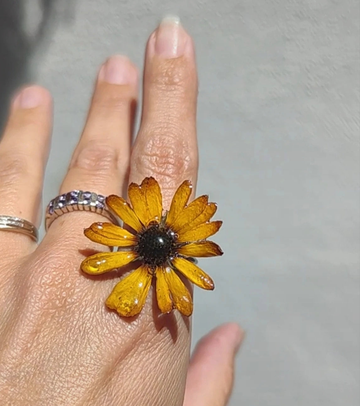 Anillo de margarita real resinada