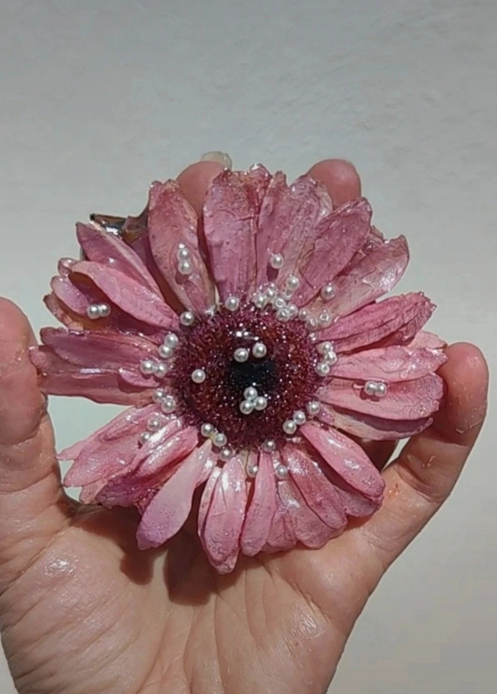 Clip de pelo de gerbera