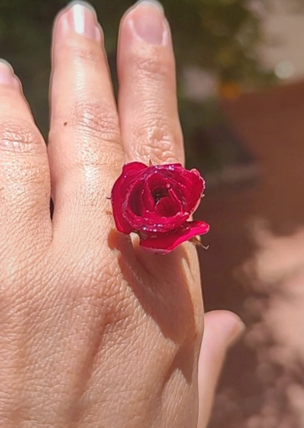 Anillo de mini rosa real resinada