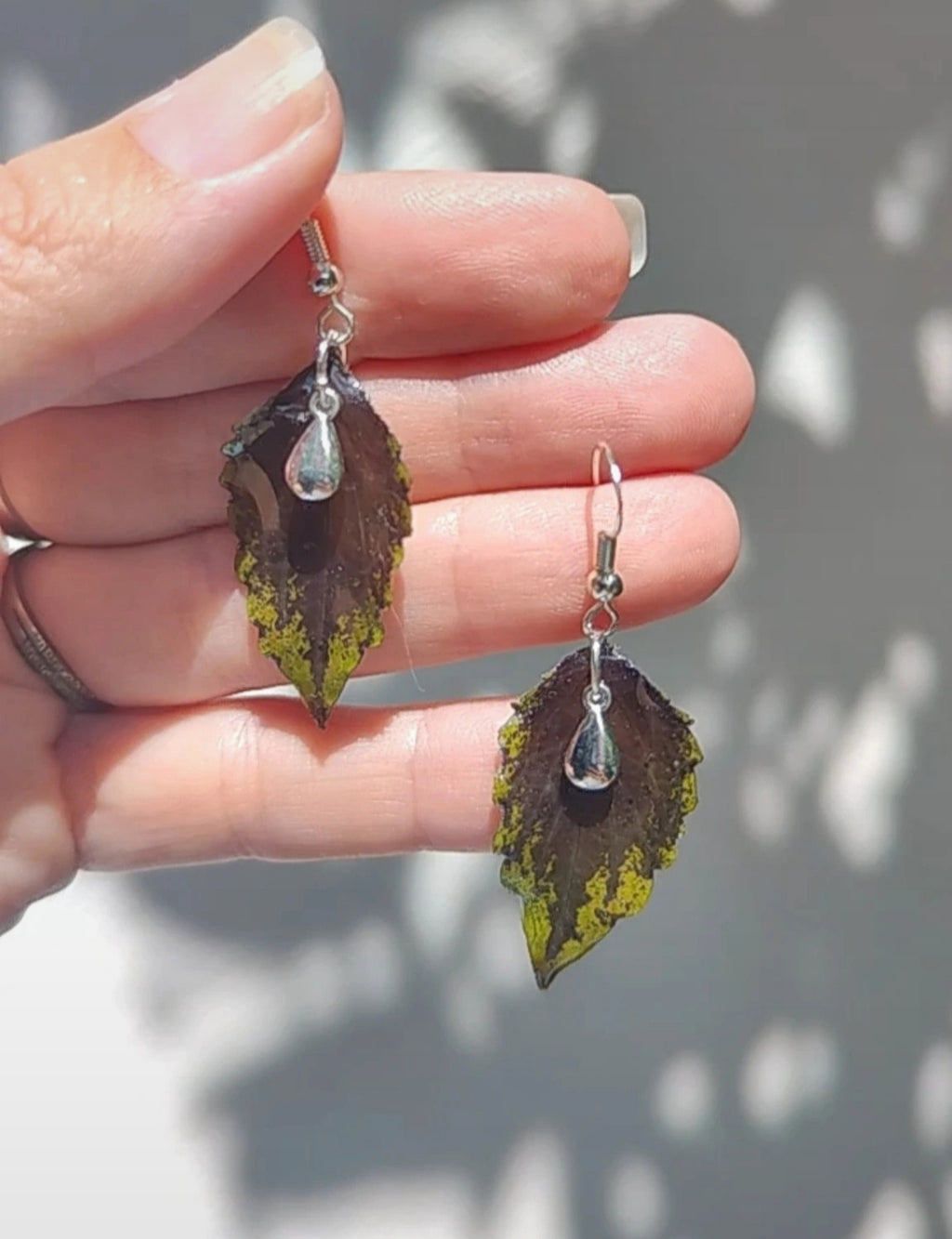 Pendientes originales con hojas auténticas de planta coleo pequeñas. Regalo pendientes con flores reales