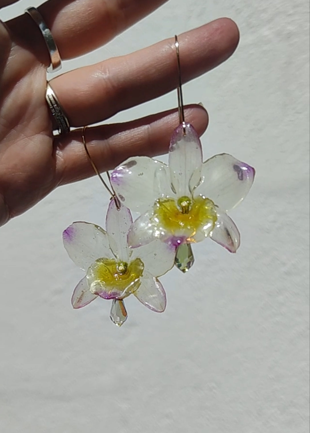 Pendientes orquídea dendrobium semitransparente lila y amarilla. Flores naturales. Pendientes orquídea real