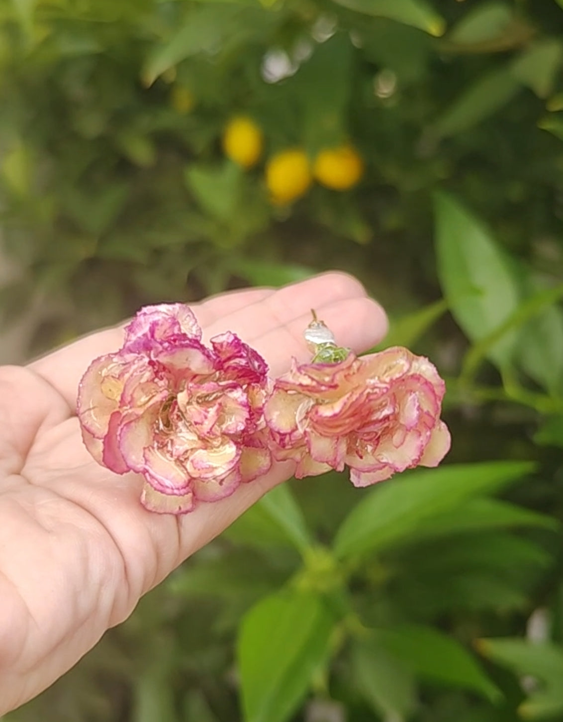 Pendientes artesanales con mini claveles naturales resinados, perlas naturales de río y acero inoxidable