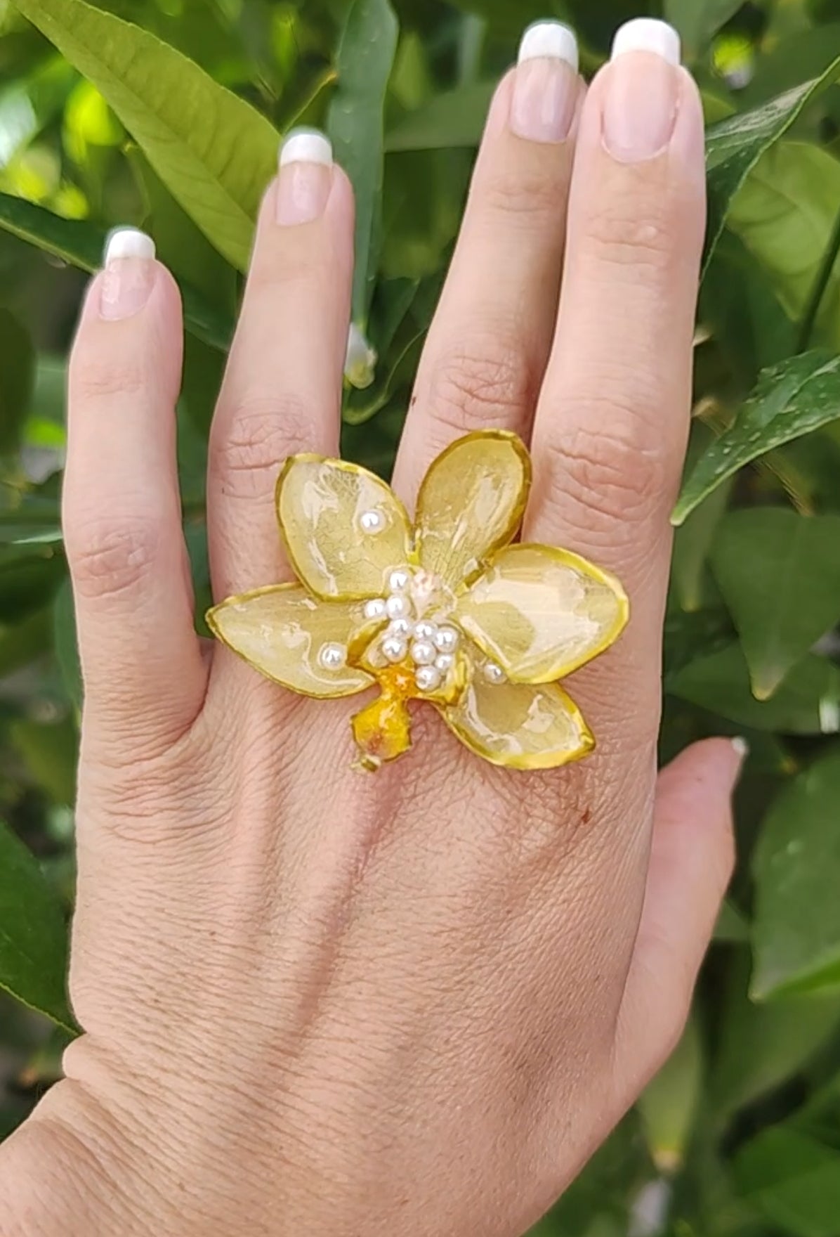 Anillo de orquídea real resinada