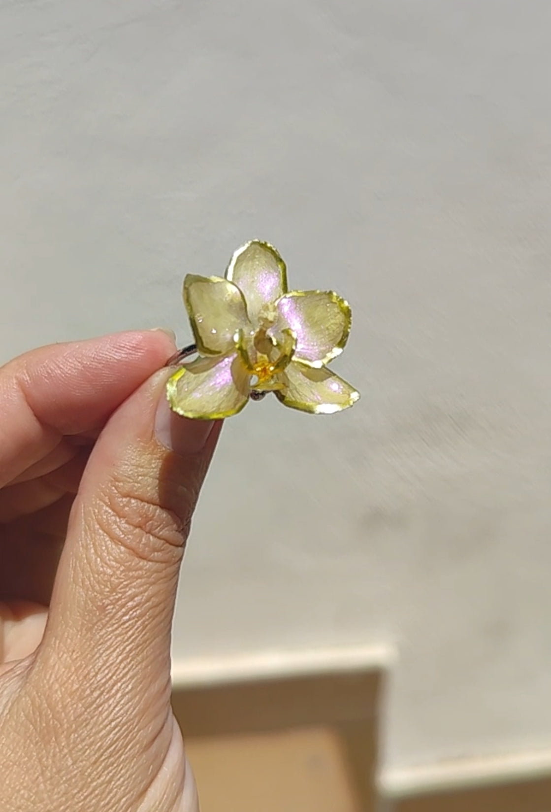 Anillo de orquídea real resinada