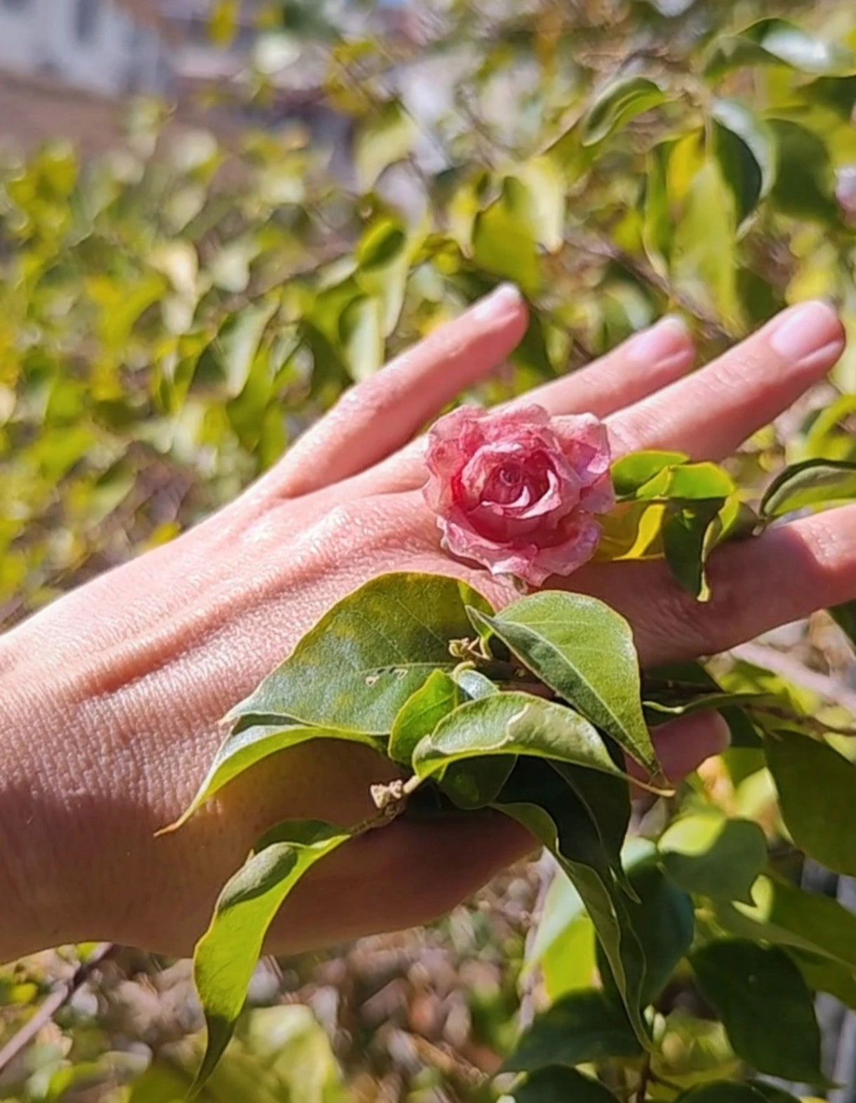 Anillo de rosa real resinada