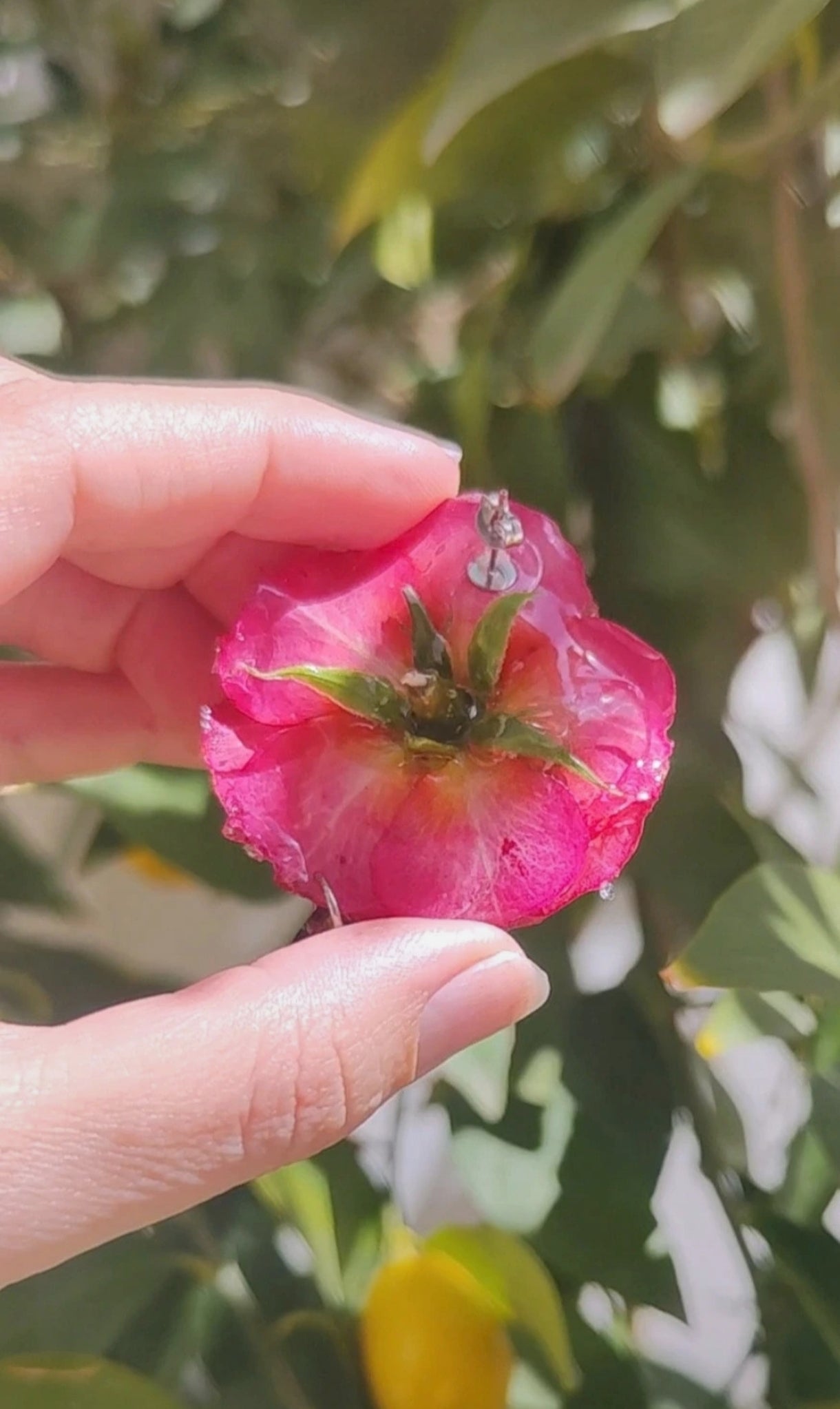 Pendientes de rosas reales resinadas