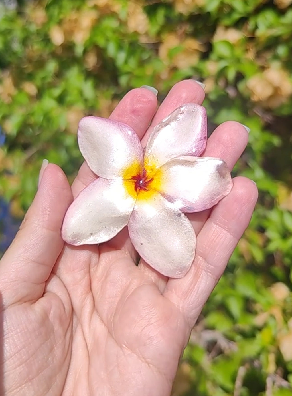 Clip de pelo de flor de mayo o plumeria en resina