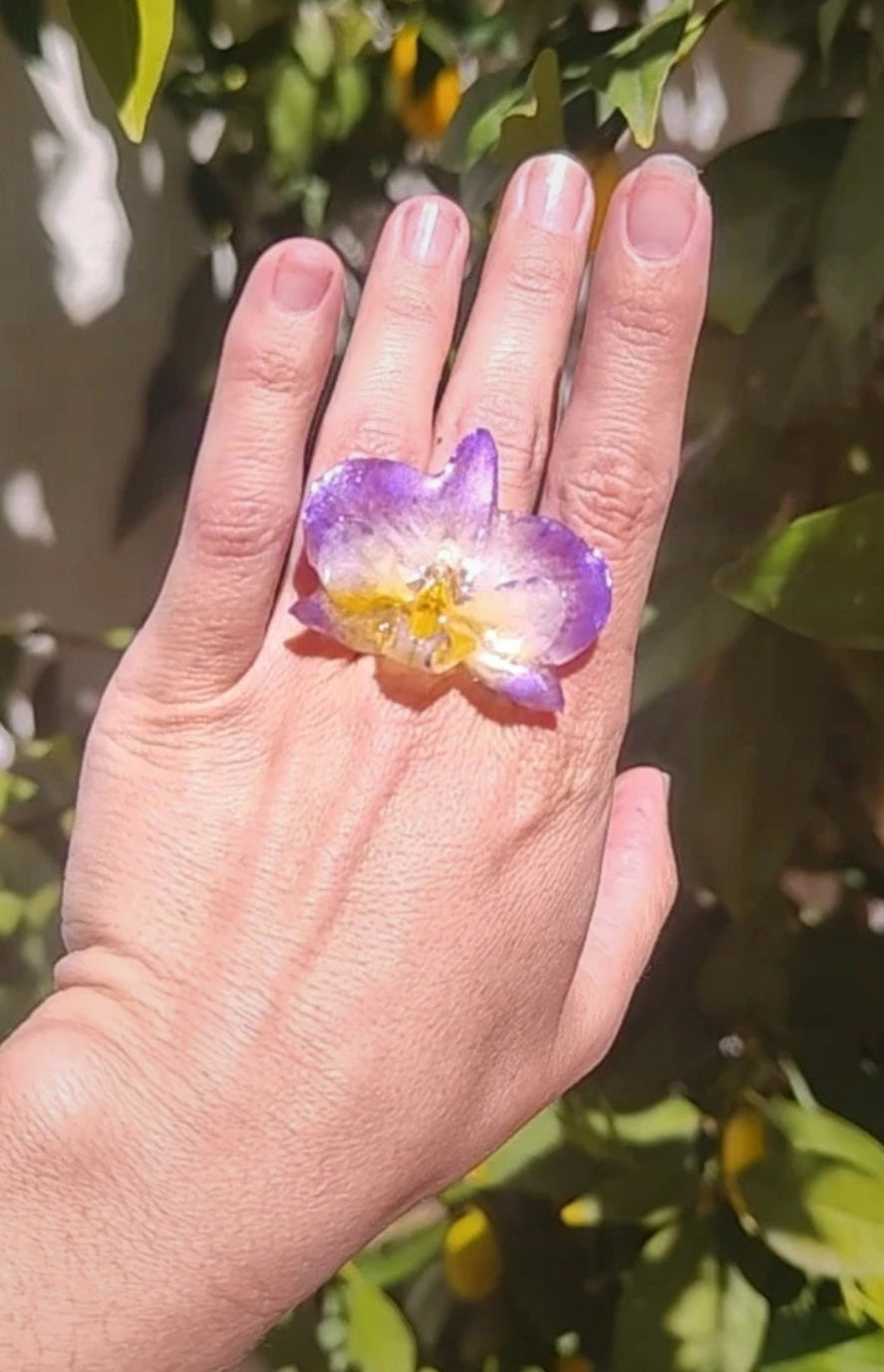 Anillo de orquídea real resinada