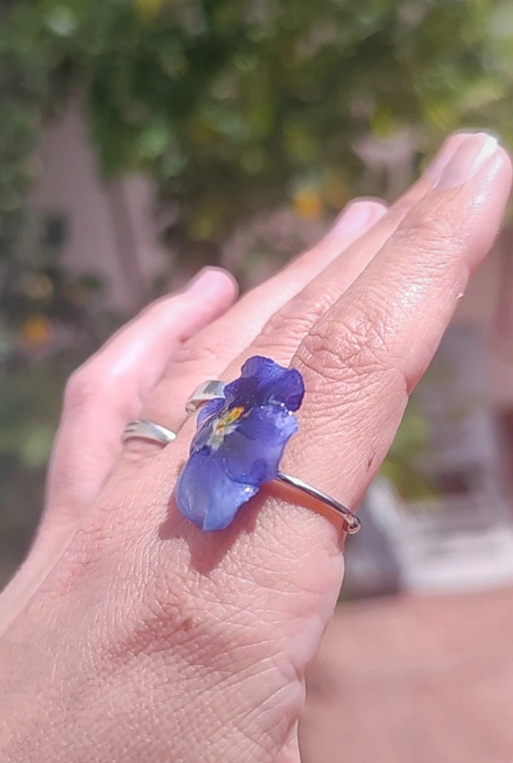 Anillo de pensamiento real resinado