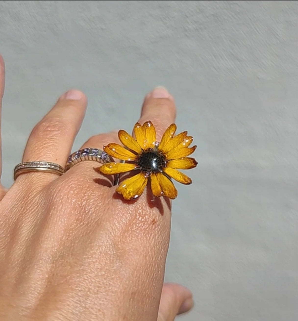 Anillo de margarita real resinada