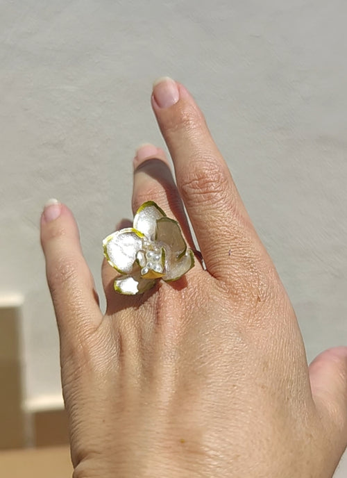 Anillo de mini orquídea real resinada