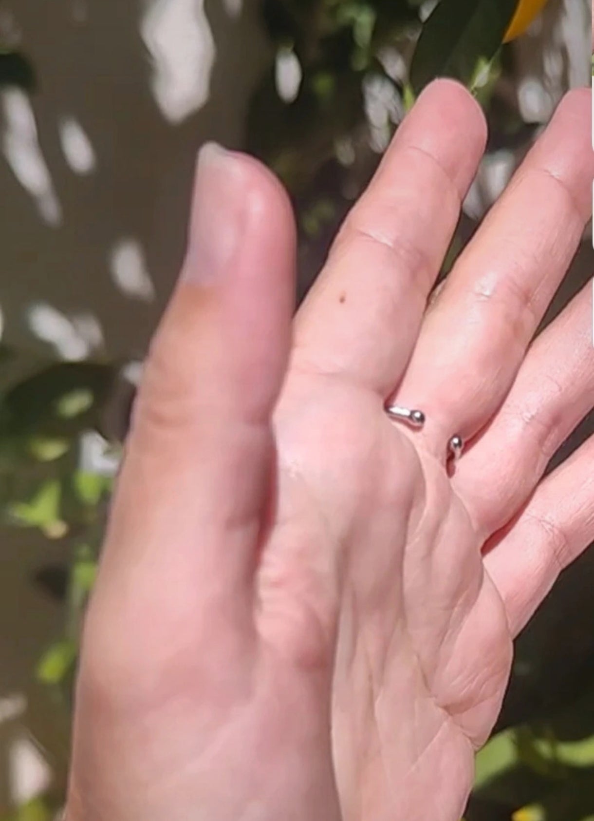 Anillo de orquídea real resinada