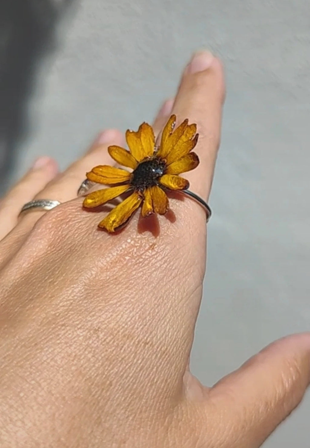 Anillo de margarita real resinada