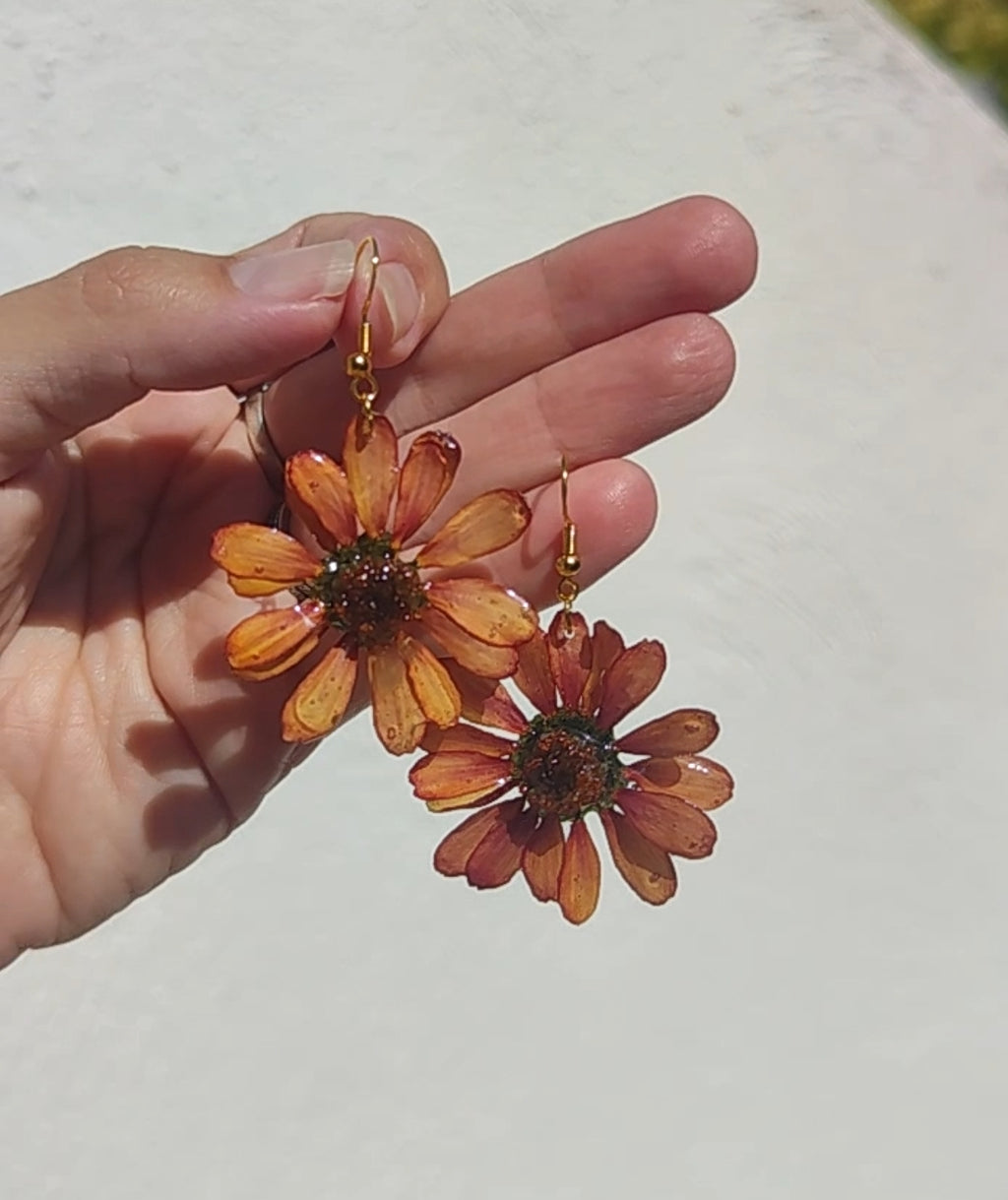 Pendientes de margaritas naranjas naturales en resina. Joyas florales artesanales. Acero inoxidable hipoalergénico