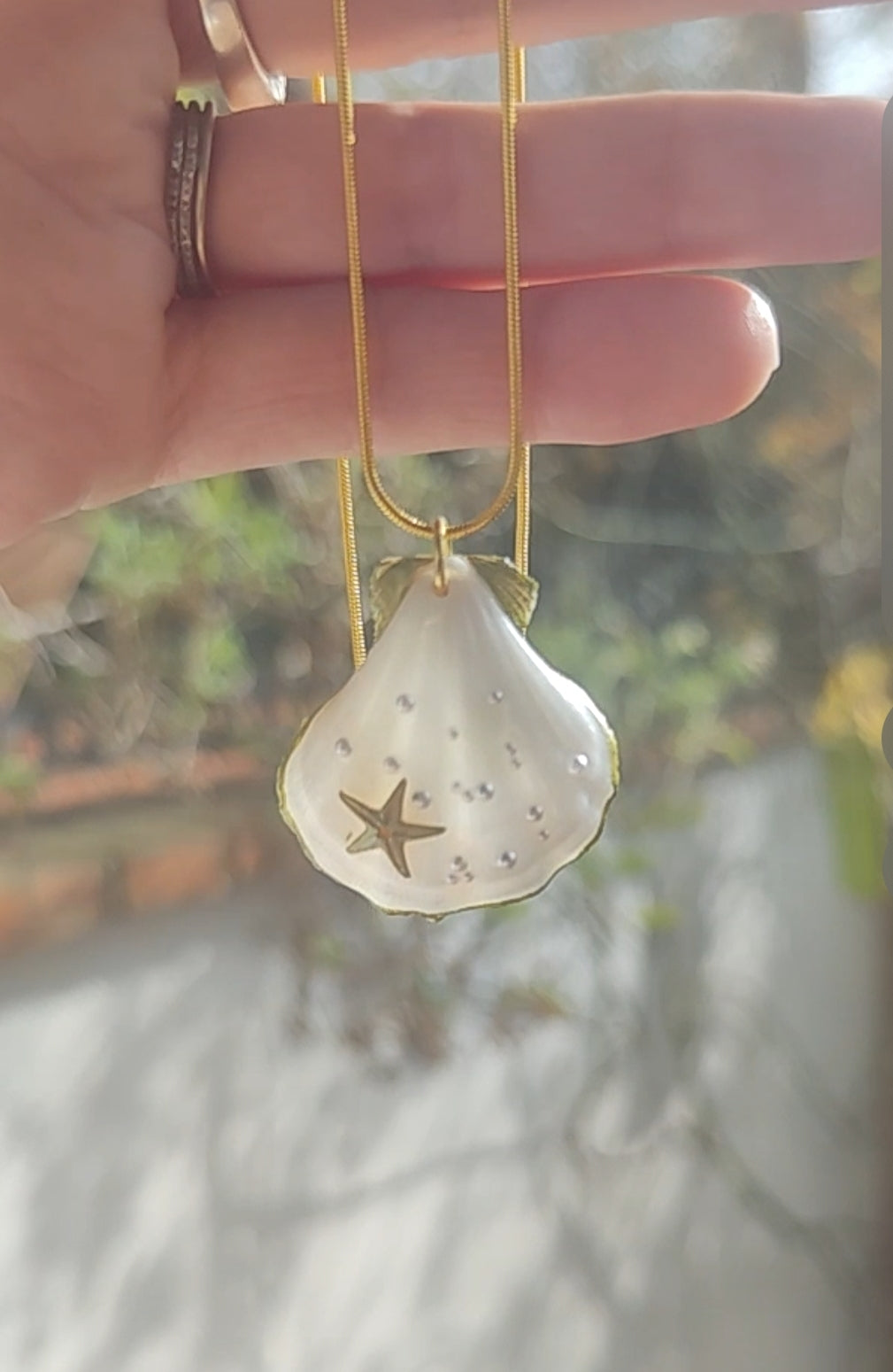 Collar de concha natural