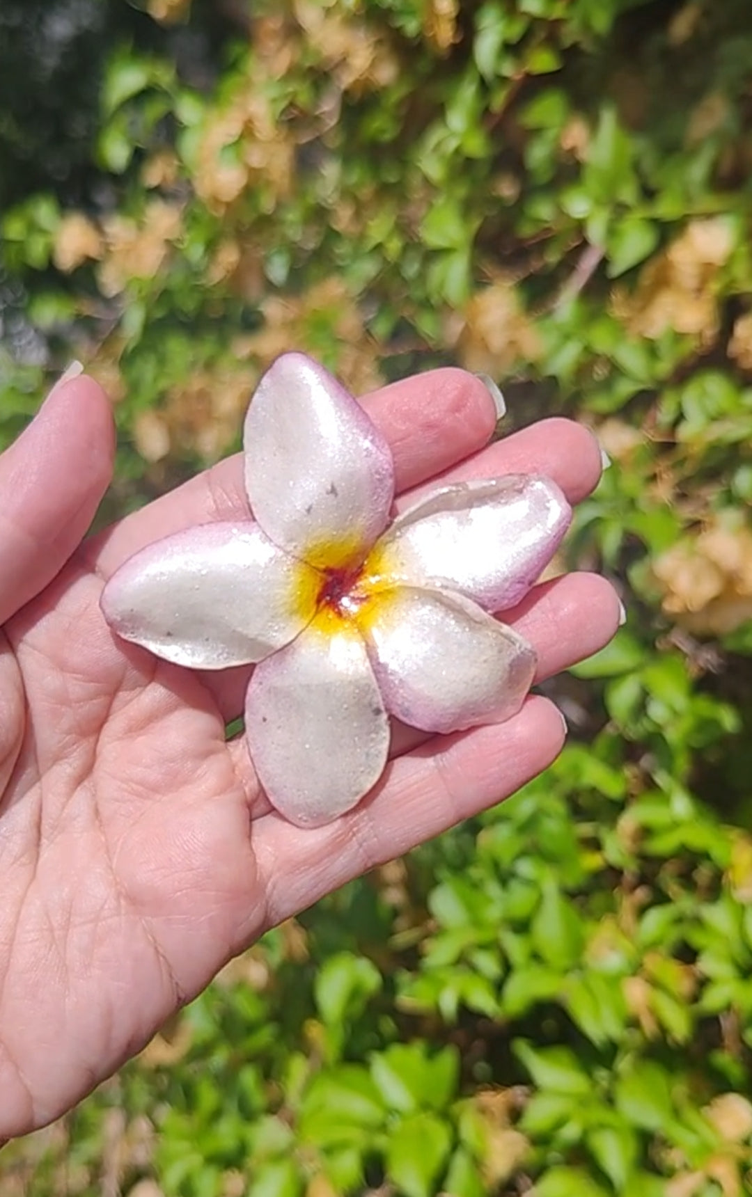 Clip de pelo de flor de mayo o plumeria en resina