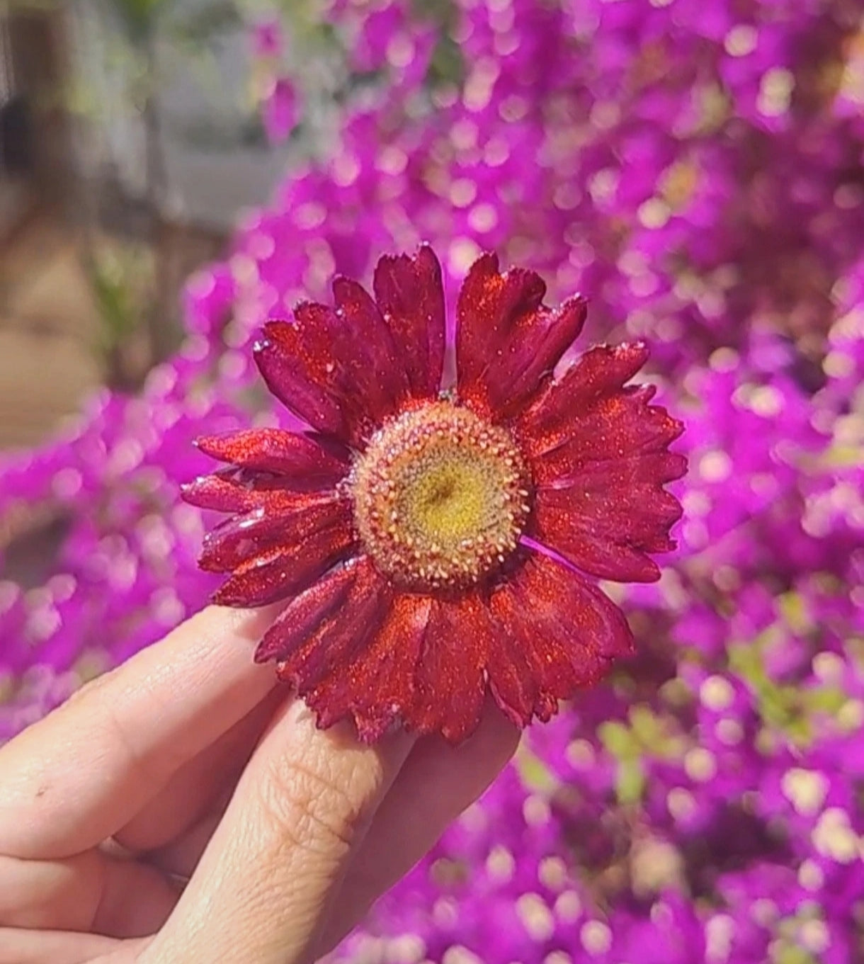 Pasador de gerbera en resina